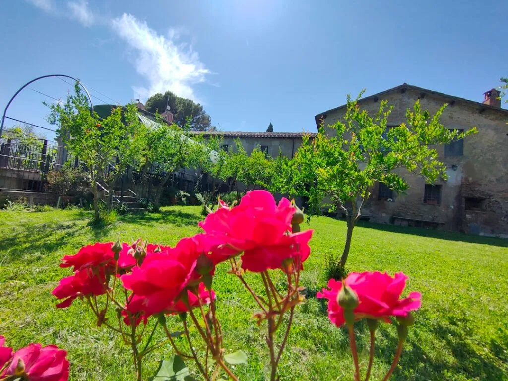 Leuchtend pinke Rosen im Vordergrund vor einem Gartenhaus am Lac come
