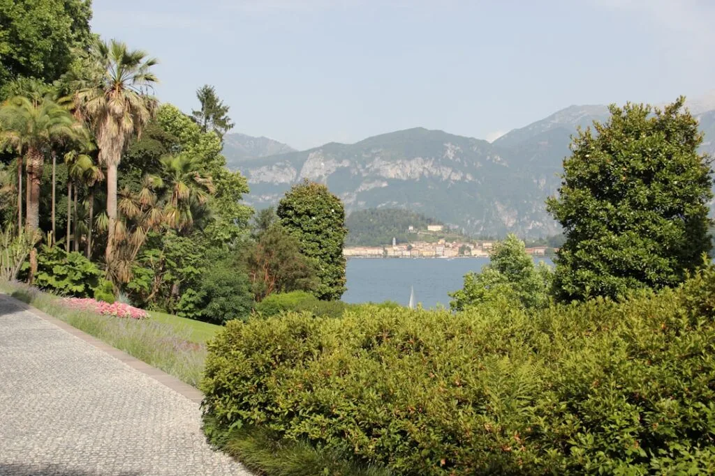Viale alberato e palme in giardino con vista sul Lago di Como
