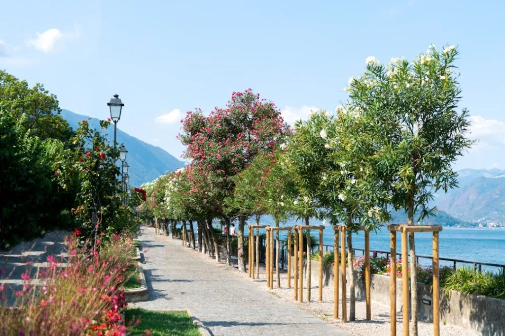 Baumreihe mit Pfählen entlang Uferpromenade und Blick auf den Comer See
