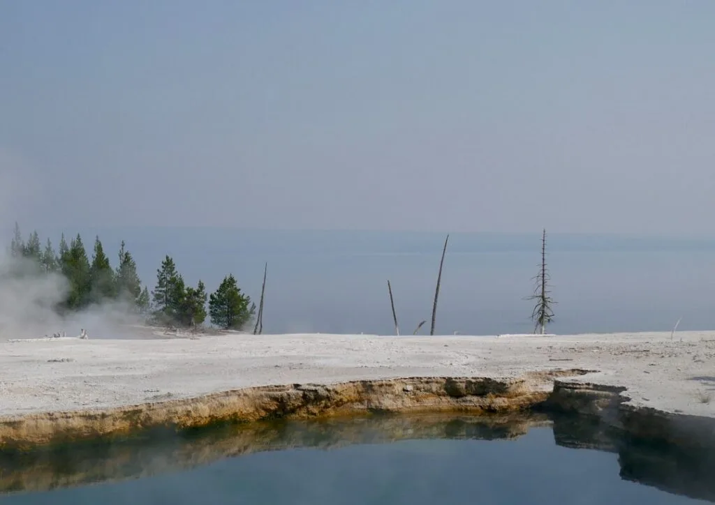 Dampfende Thermalquelle mit mineralischem Ufer und vereinzelten Baumstämmen