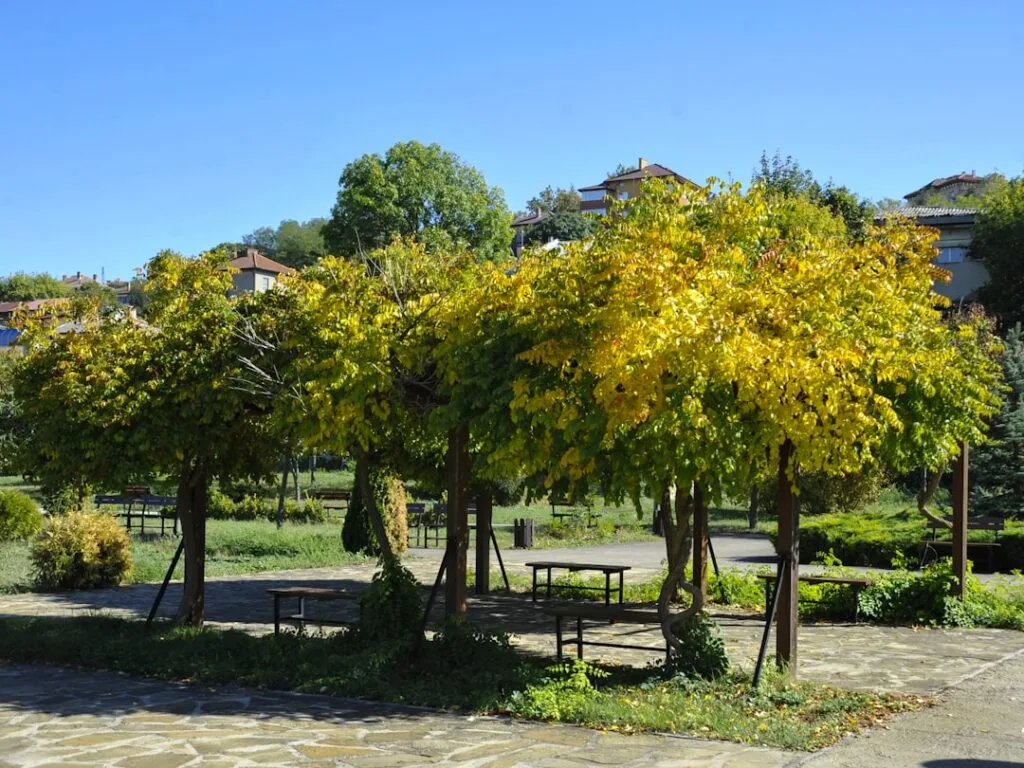 Laubüberwachsene Pergola mit gelben Blättern in einem Park am Comer See
