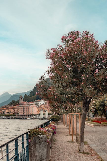 Lungolago di Bellagio al mattino