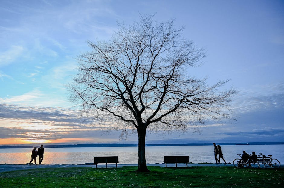 Cernobbio lakeside promenade sunset
